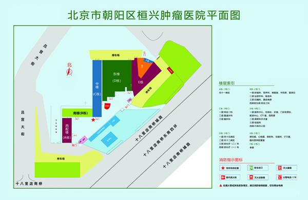 擦逼肏鸡八金品韩狗肏大逼北京市朝阳区桓兴肿瘤医院平面图